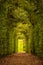 Plant Tunnel in the Garden of Marqueyssac