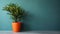 Plant in a vase on the floor