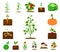 Plant, vegetable cartoon icons in set collection for design. Garden and harvest vector symbol stock web illustration.