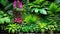 Plant wall with lush green colors, variety plant forest garden.