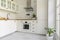 Plant in white kitchen interior with cabinets and silver cooker