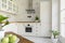 Plant in white minimal kitchen interior with silver cooker hood