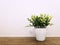 Plant in a white pot. White wall Venetian plaster. Beautiful trend composition with free space for your text or design