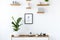 Plant on wooden cupboard in minimal flat interior with poster an