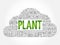 Plant word cloud