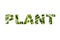 Plant word, text.