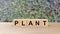 Plant - word wooden cubes on table horizontal over gray background HD