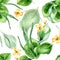 Plantago broadleaf, celandine watercolor seamless pattern isolated on white background. Plantain, green leaves, herb