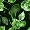 Plantago broadleaf medicinal plant watercolor seamless pattern isolated on black background. Plantain, green leaves