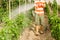 Plantation fumigation, peppers plants