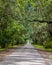 Plantation Gateway Live Oaks