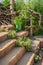 Planted garden stairs in natural garden with native plants, natural stones, driftwood, sand and hedge