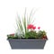 Planter of autumn flowering plants, cyclamen, heather and viola