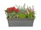 Planter of autumn flowering plants, cyclamen, heather and viola