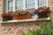 Planter of calibrachoa and geranium on the windowsill