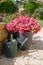 Planter and watering can with pink geranium flowers