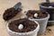 Planting of beans in small pots. Gardening work in home conditions