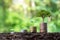 Planting and developing trees on coin pile as well as green nature background blur the concept of financial
