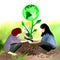 Planting Earth Tree