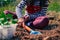 Planting Excitement: Little Girl Preparing Planting Spaces with a Shovel in the Garden