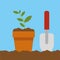 Planting flower in pot. Gardening