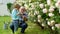 Planting flowers. Gardener gardening. Grandfather with his grandson working in the garden. Farm family. Spring and