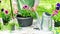 Planting flowers in pots to decorate the garden and home in spring on a sunny day. The gardener`s hands use a spatula to plant