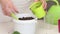 Planting geraniums by cuttings. A woman puts soil in a pot. Flower cuttings are on the table. Transplanting geraniums into a pot