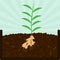 Planting ginger tree and compost