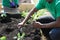 Planting Herbs in a Raised Flower Bed 2