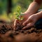 Planting hope Hands nurturing young trees for a greener future