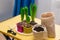 Planting hyacinths at home on a yellow table. ground paper bag, drainage, tools