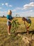 Planting maple trees on Saturday in the Gomel region of the Republic of Belarus.