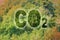 Planting more trees reduce the amount of CO2 - concept image with Co2 text against woodland