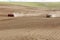 Planting potatoes in the rolling hills in the fertile farm fields of  Idaho