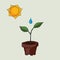 Planting process in pots with sun and water drop to grow drawing sketch in color