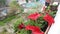 Planting red petunia flowers on the balcony