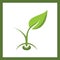 Planting seed sprout in ground. Symbol grow sapling. Green fresh plant sprout with roots vector illustration.