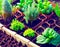 Planting seedlings in a greenhouse.  Cultivation of crops