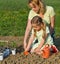 Planting seedlings in spring time