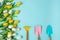 Planting spring flowers Gardening tools white yellow tulips copy space top view scoop blue background summertime concept