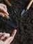 Planting tobacco seeds. Tobacco seeds on finger.