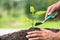 Planting a tree. Close-up hand of the men planting  the seedlings into the ground, The idea of planting trees to reduce global