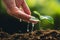 Planting trees growth passion fruit and hand Watering in nature Light and background