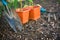 Planting vegetables