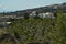 Planting Of Vineyards On The Volcanic Earth In Pyrgos. Fruit Plants, Nature, Landscapes, Travel.