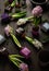 Planting winter or spring flowers hyacinth on black background, gardening concept