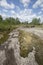 Plantlife on granite rock trails at Torrance Barrens