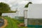 Plants being grown inside a polytunnel