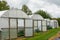 Plants being grown inside a polytunnel